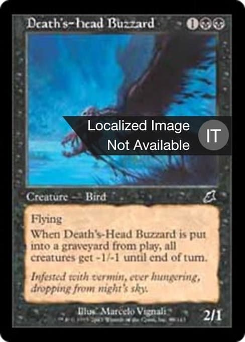 Death's-Head Buzzard