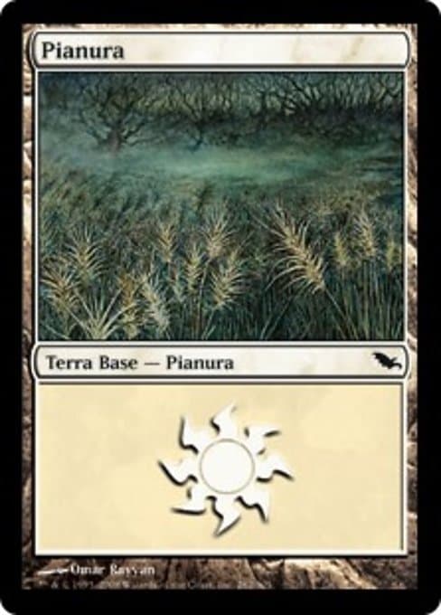 Plains