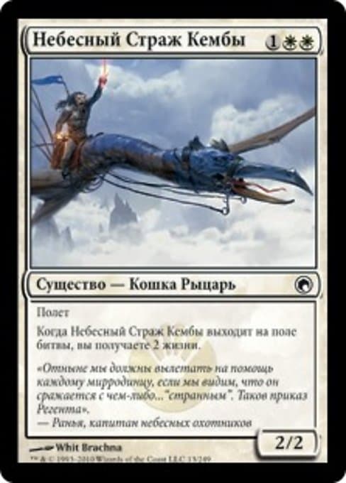 Kemba's Skyguard