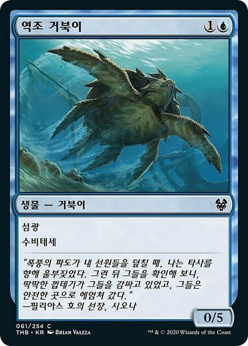 Riptide Turtle