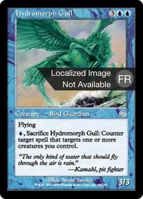 Hydromorph Gull