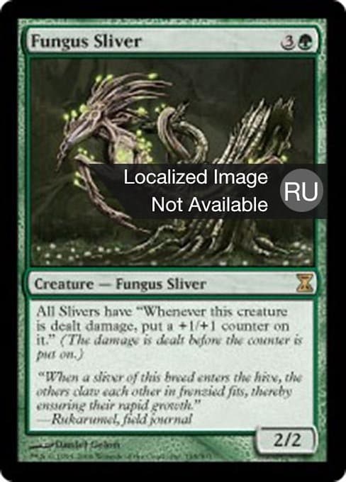 Fungus Sliver