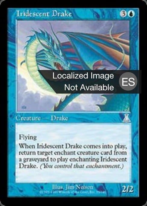 Iridescent Drake