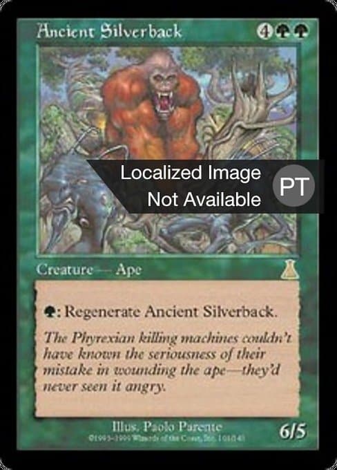 Ancient Silverback