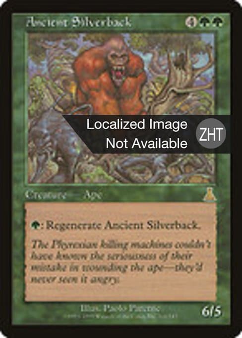 Ancient Silverback