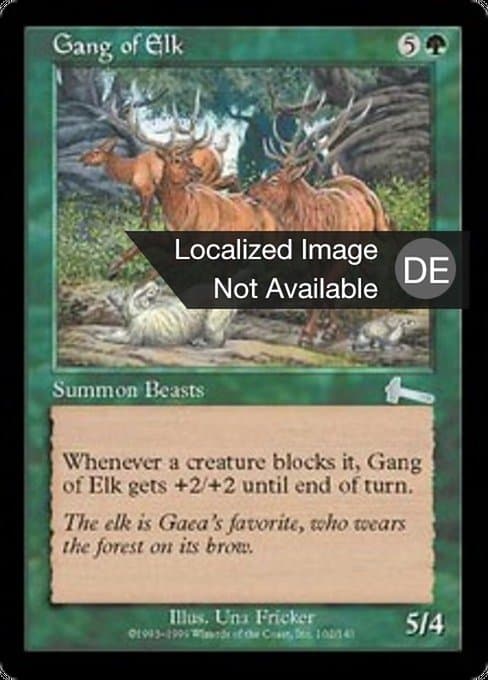 Gang of Elk