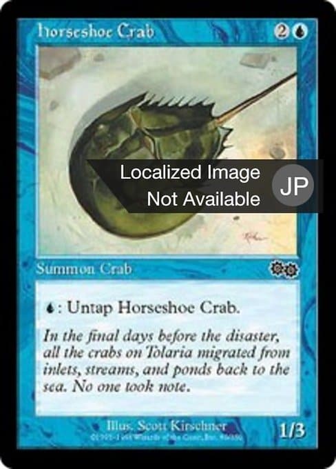 Horseshoe Crab