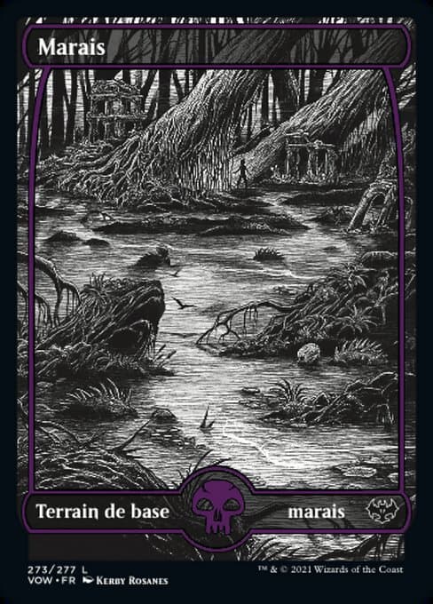 Swamp