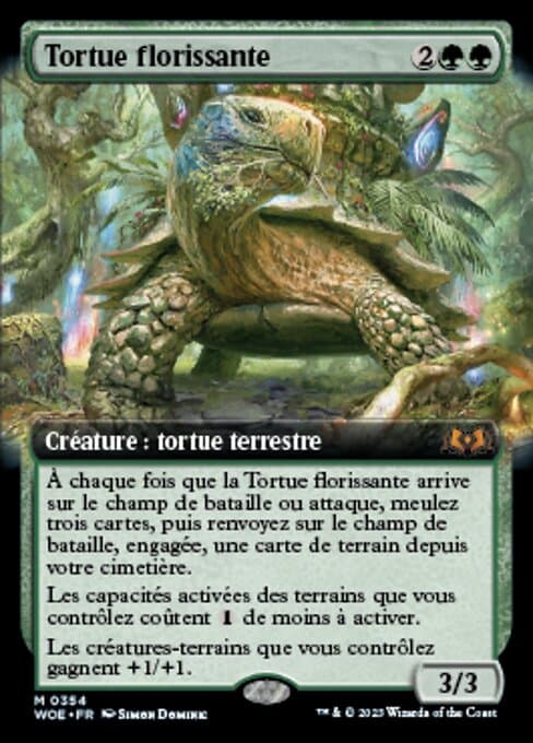 Blossoming Tortoise