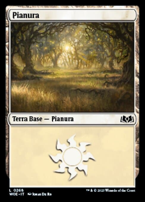 Plains