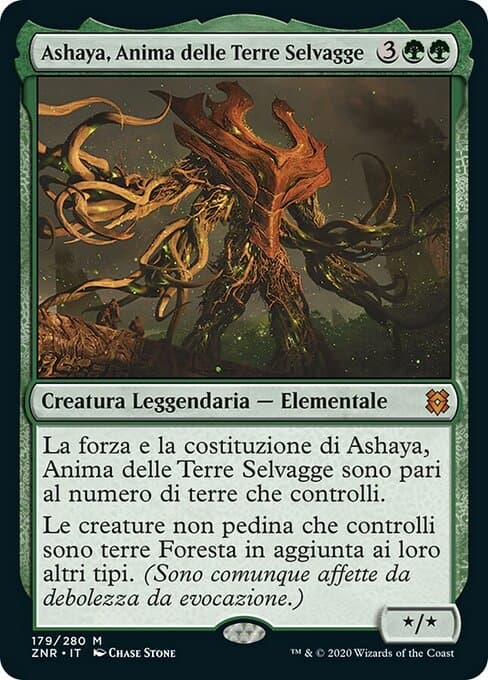 Ashaya, Soul of the Wild