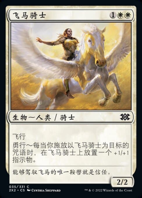 Wingsteed Rider