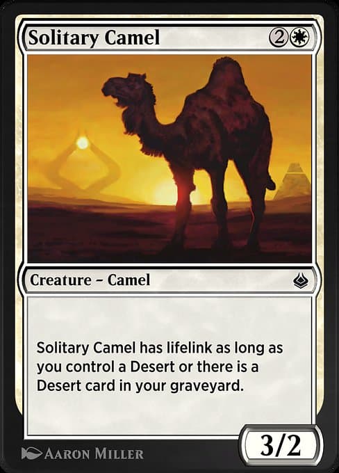 Solitary Camel