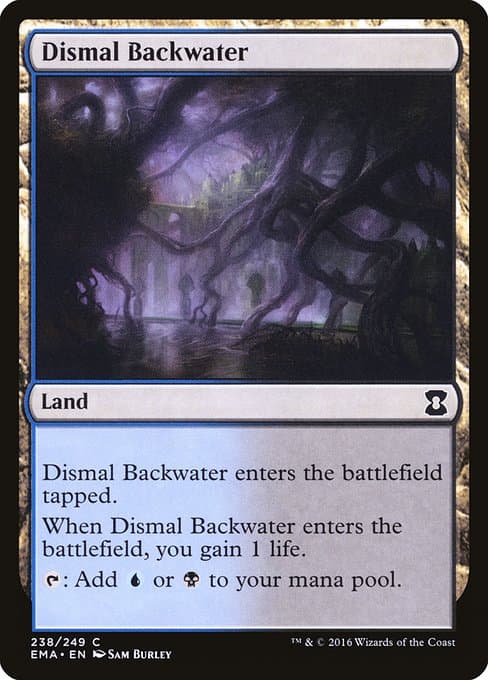 Dismal Backwater