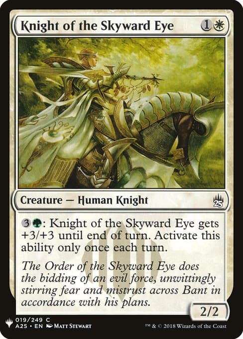 Knight of the Skyward Eye