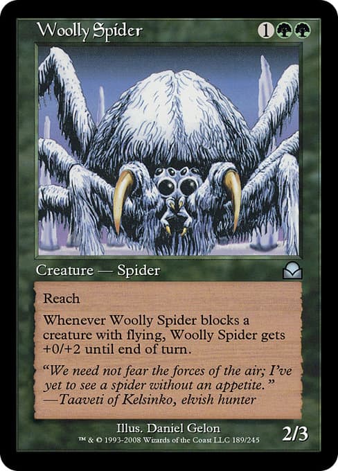 Woolly Spider