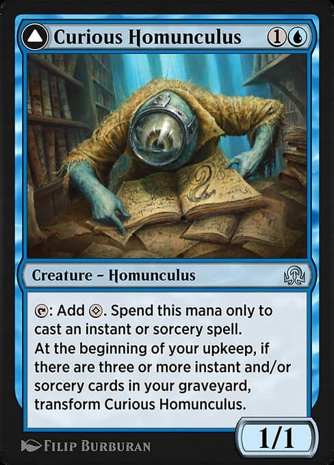 Curious Homunculus • Voracious Reader