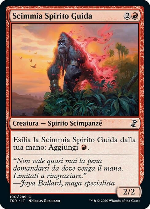 Simian Spirit Guide