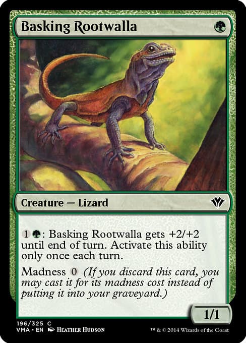 Basking Rootwalla