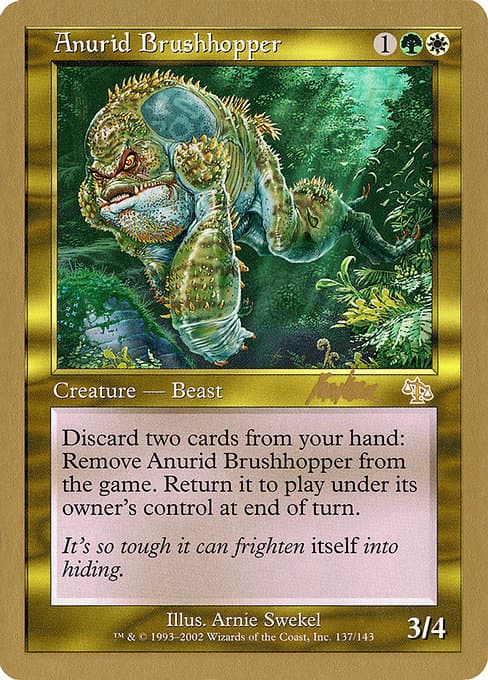 Anurid Brushhopper