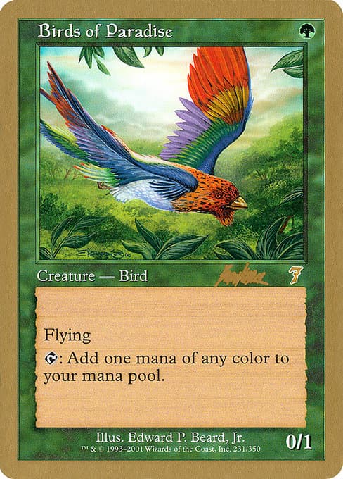 Birds of Paradise