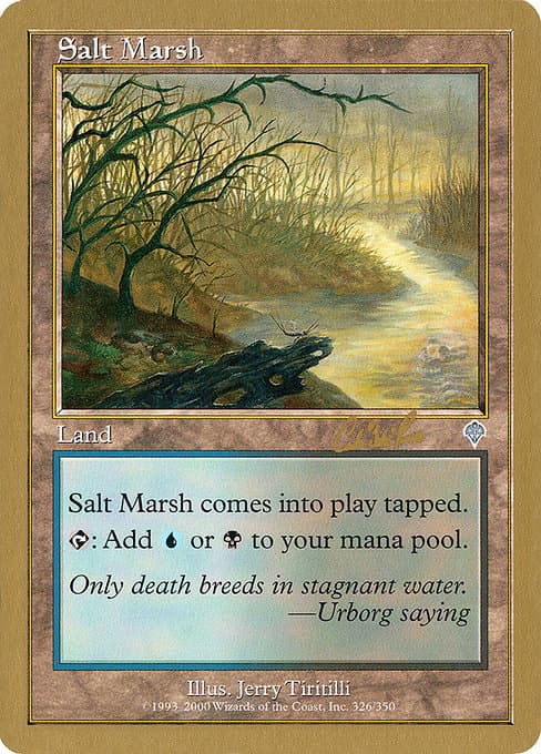 Salt Marsh