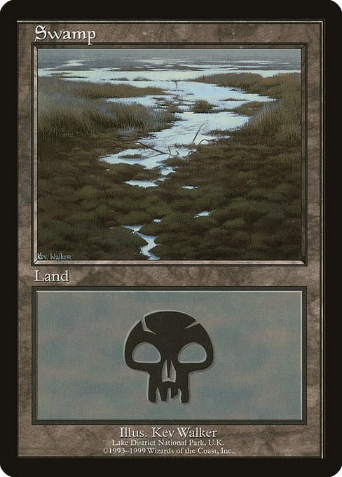 Swamp