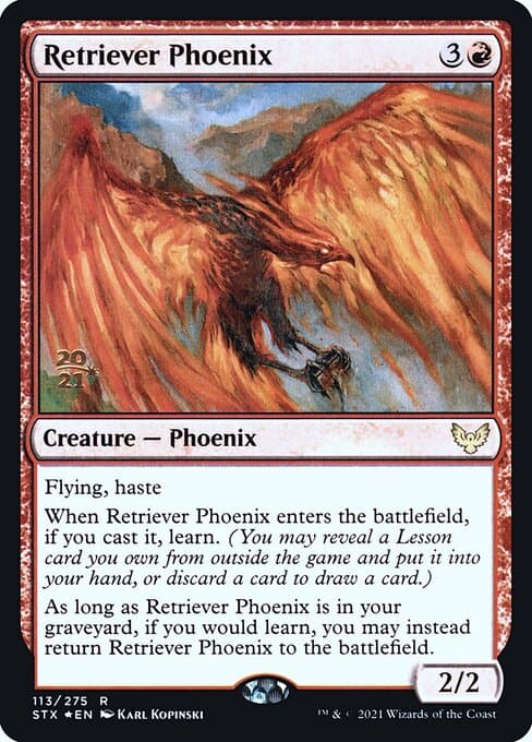 Retriever Phoenix