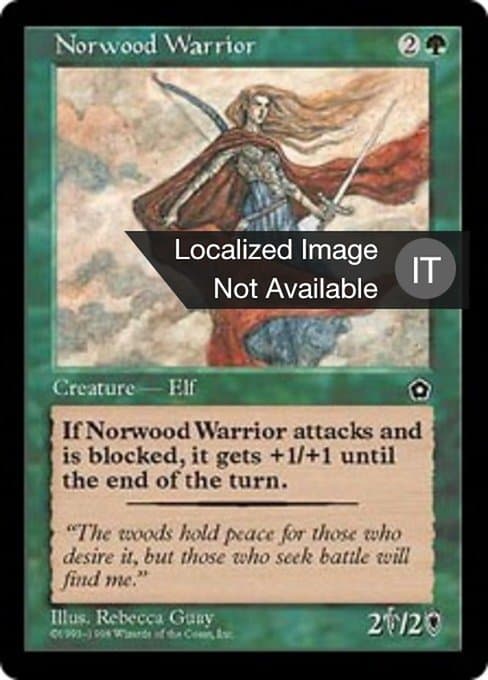 Norwood Warrior