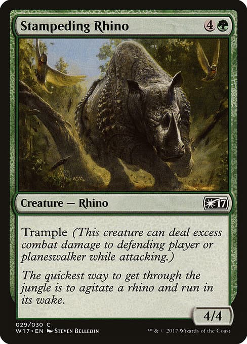 Stampeding Rhino