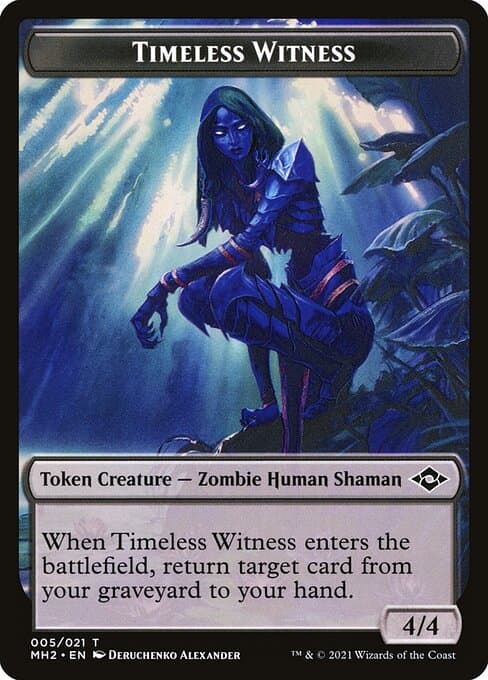 Timeless Witness