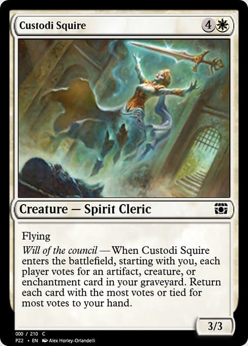 Custodi Squire